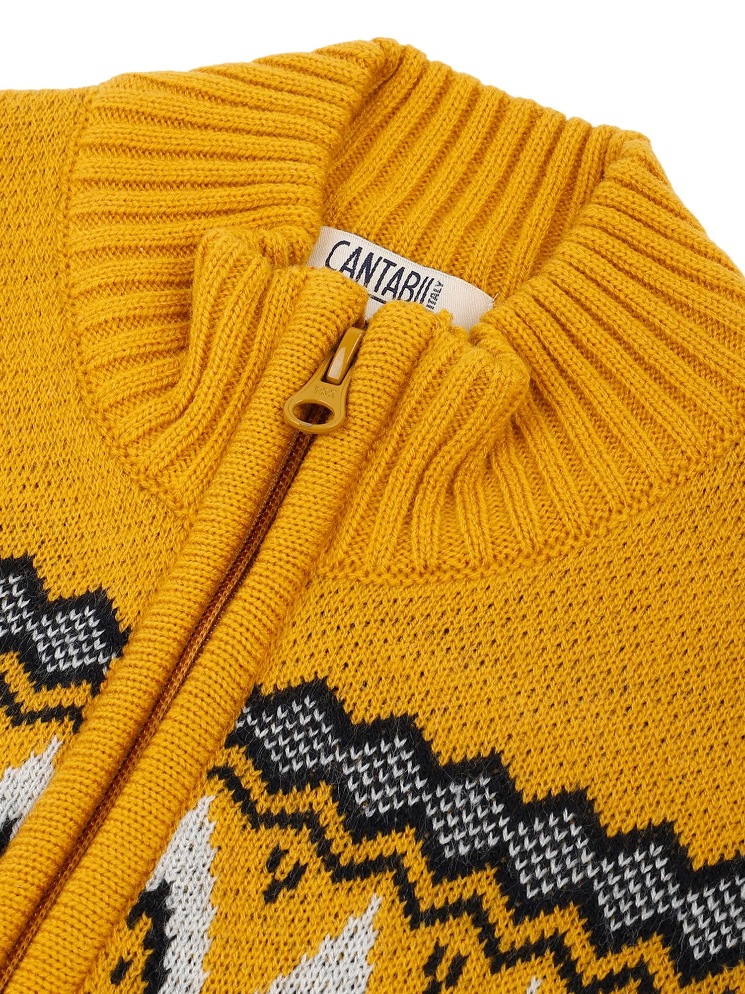 Boys Casual Mustard Full Sleeve Pullover Sweater