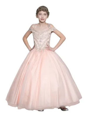 Little Girls Blush Pink Rhinestone Glitter Tulle Pageant Ball Dress 3-6