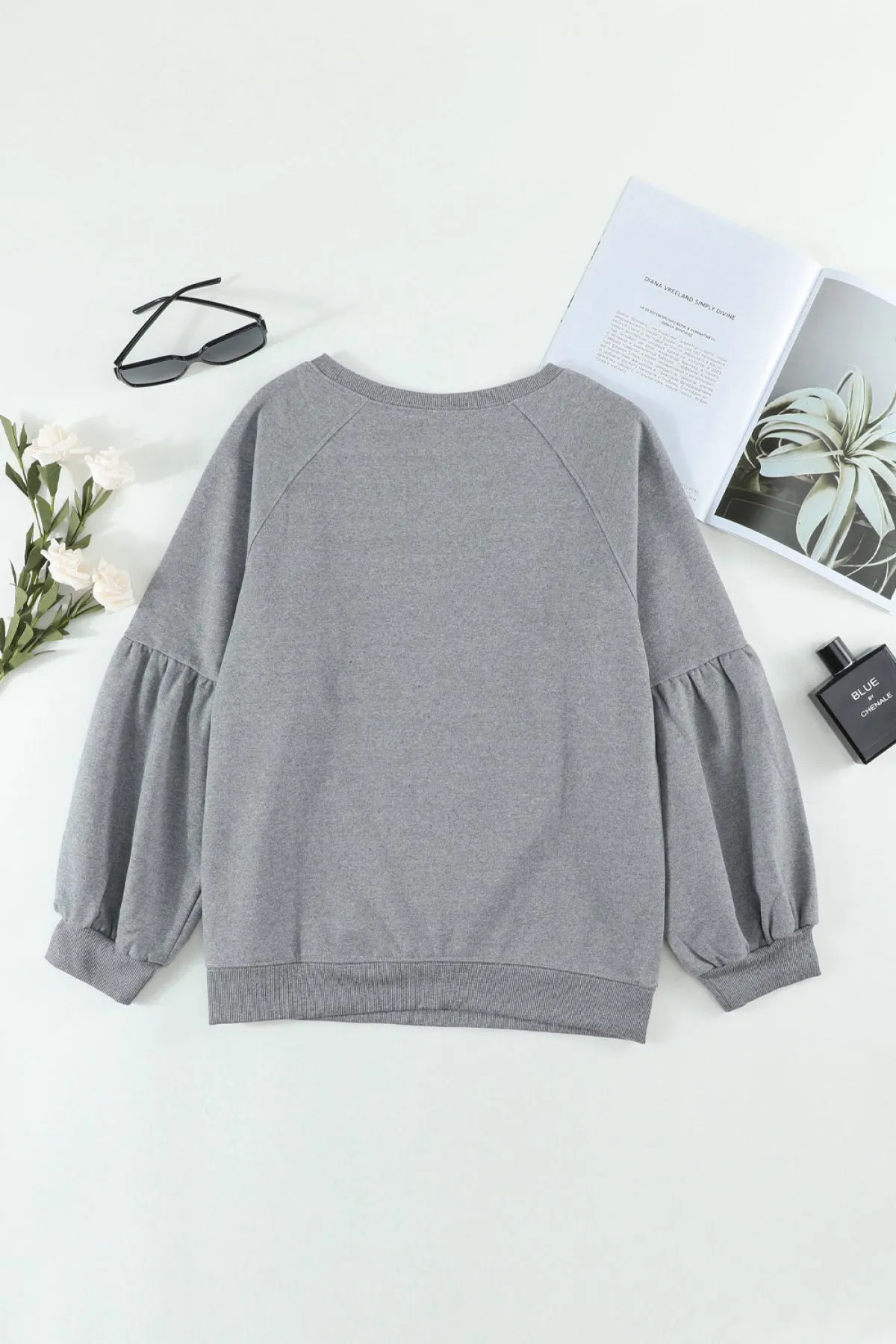 Raglan Patchwork Sleeve Pullover Sweatshirt